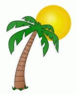 Palm tree leaning toward sun